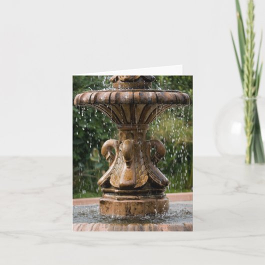 Swan Fountain Notecard Kaart (Voorkant)
