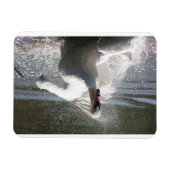 Swan fridge magnet magneet (Horizontaal)