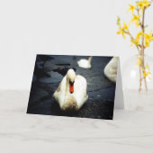 Swan – Galway, Ierland Kaart (Gele Bloem)