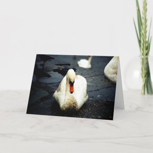 Swan – Galway, Ierland Kaart (Voorkant)