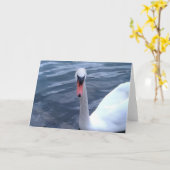Swan Gazing op het meer Kaart (Gele Bloem)