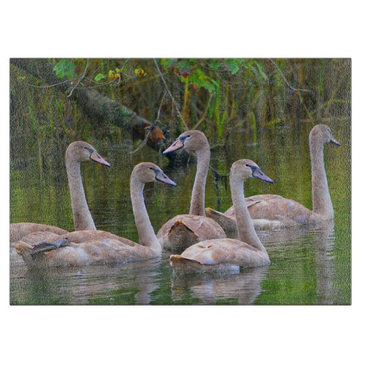 Swan Glass Cutting Board Snijplank (Voorkant)