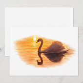 Swan Gliding at Sunset Kaart (Voorkant / Achterkant)
