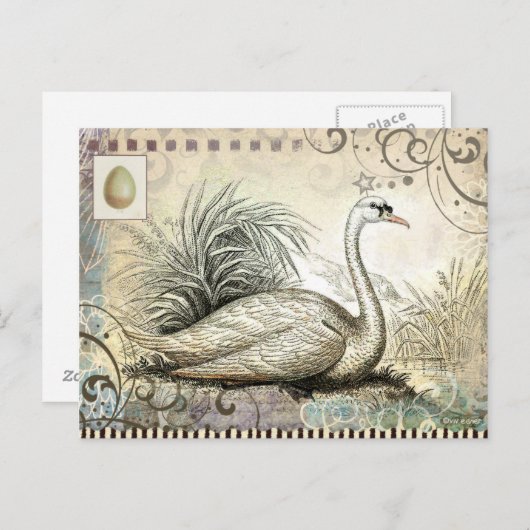 Swan Graphic Briefkaart (Voorkant / Achterkant)