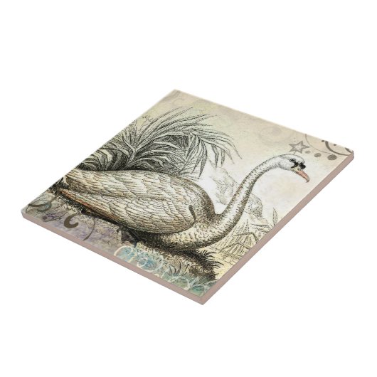 Swan Graphic Tegeltje (Zijkant)