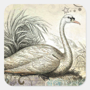 Swan Graphic Vierkante Sticker
