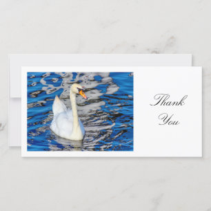 Swan - Hartelijk dank Bedankkaart