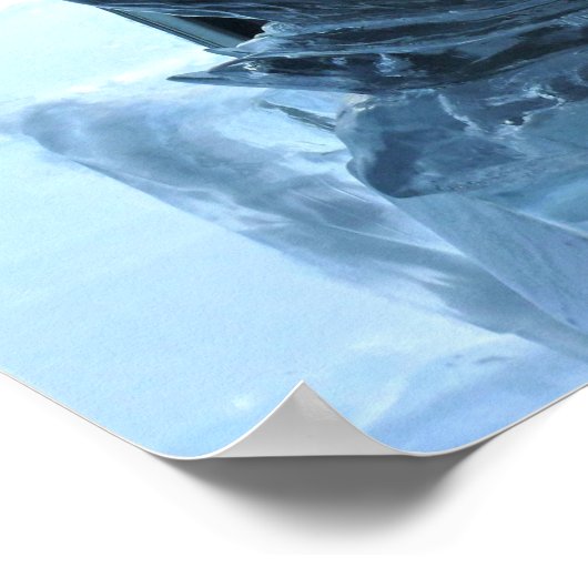 Swan Ice Sculpture, Quebec, Canada Poster (Hoek)