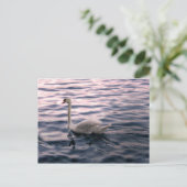 Swan in Dusk Briefkaart (Staand voorkant)