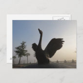 Swan in flight Blue background Lakeland, FL Briefkaart (Voorkant / Achterkant)