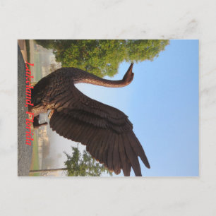 Swan in Flight Lakeland, Florida Briefkaart