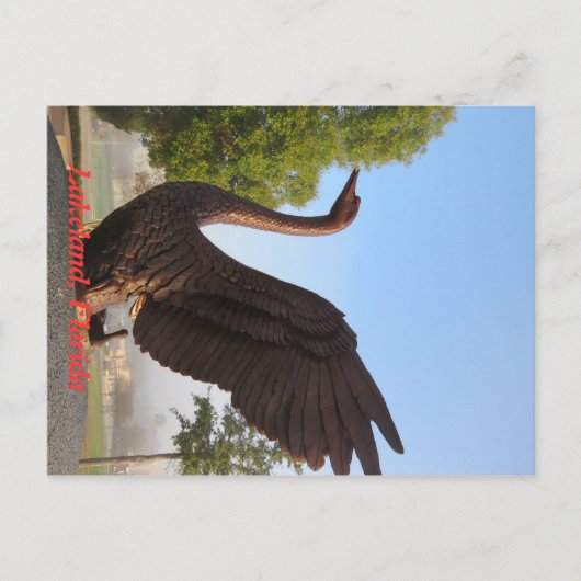 Swan in Flight Lakeland, Florida Briefkaart (Voorkant)