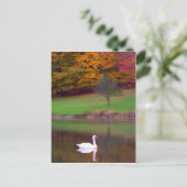 Swan in het najaar briefkaart (Staand voorkant)