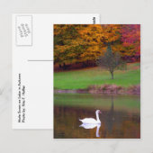 Swan in het najaar briefkaart (Voorkant / Achterkant)