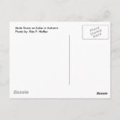 Swan in het najaar briefkaart (Achterkant)