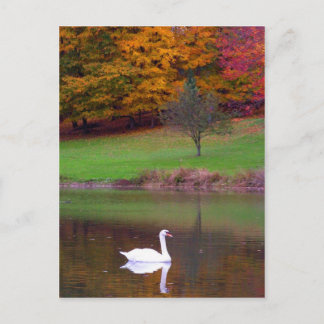 Swan in het najaar briefkaart