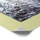 Swan in Shadow Poster (Hoek)