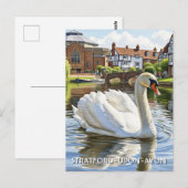 Swan in Stratford-Upon-Avon England Travel Briefkaart (Voorkant / Achterkant)