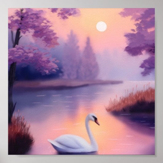 swan in the pond during sunset poster (Voorkant)