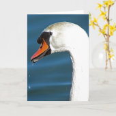Swan Kaart (Gele Bloem)