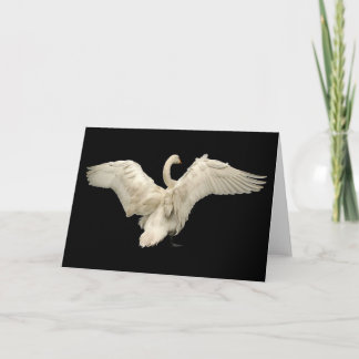 Swan Kaart