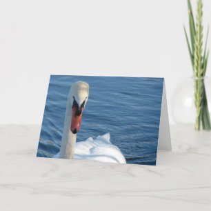 Swan Kaart