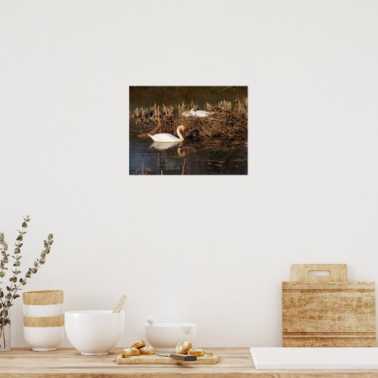 Swan kijkt over zijn Poster (Keuken)