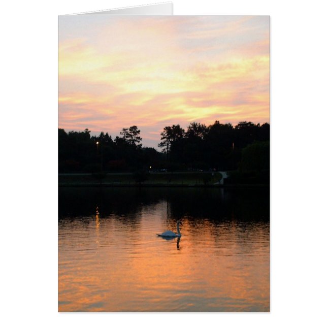 Swan Lake (Voorkant)