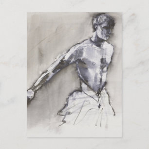 Swan Lake 2001 Briefkaart