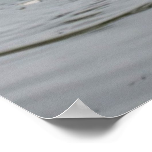 Swan Lake - Afdrukken Poster (Hoek)