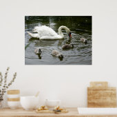 Swan Lake - Afdrukken Poster (Keuken)