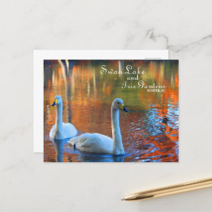 Swan Lake and Iris Gardens, Sumter, SC Briefkaart