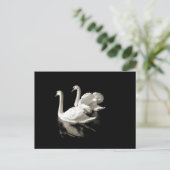 Swan Lake briefkaart (Staand voorkant)