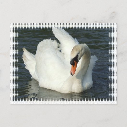 Swan Lake Briefkaart (Voorkant)
