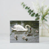 Swan Lake Briefkaart (Staand voorkant)