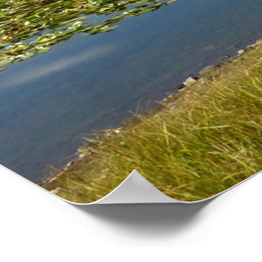 Swan Lake I in Grand Teton National Park Poster (Hoek)