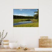 Swan Lake I in Grand Teton National Park Poster (Keuken)