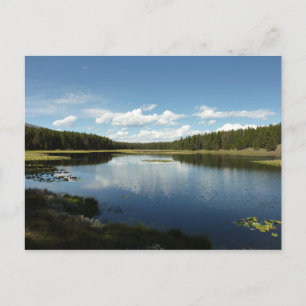 Swan Lake II in Grand Teton National Park Briefkaart