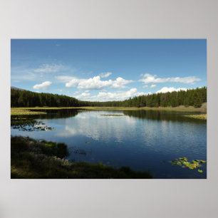 Swan Lake II in Grand Teton National Park Poster