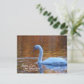 Swan Lake Iris Gardens Briefkaart (Staand voorkant)