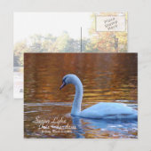 Swan Lake Iris Gardens Briefkaart (Voorkant / Achterkant)