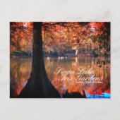 Swan Lake Iris Gardens Briefkaart (Voorkant)
