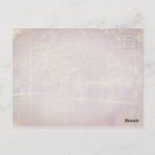 Swan Lake Iris Gardens, Sumter, South Carolina Briefkaart (Achterkant)