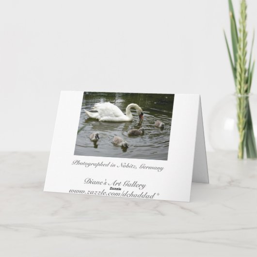 Swan Lake Kaart (Achterkant)