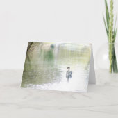 Swan Lake Kaart (Voorkant)