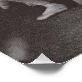 Swan Lake, Mariinsky Theater, 1895 (foto) Poster (Hoek)