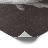 Swan Lake, Mariinsky Theater, 1895 (foto) Poster (Hoek)