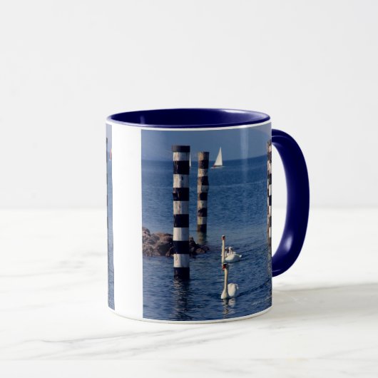 Swan Lake Mok (Voorkant rechts)