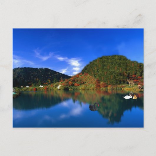 Swan Lake Mountains Briefkaart (Voorkant)