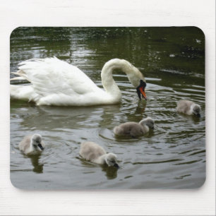 Swan Lake - Mousepad Muismat
